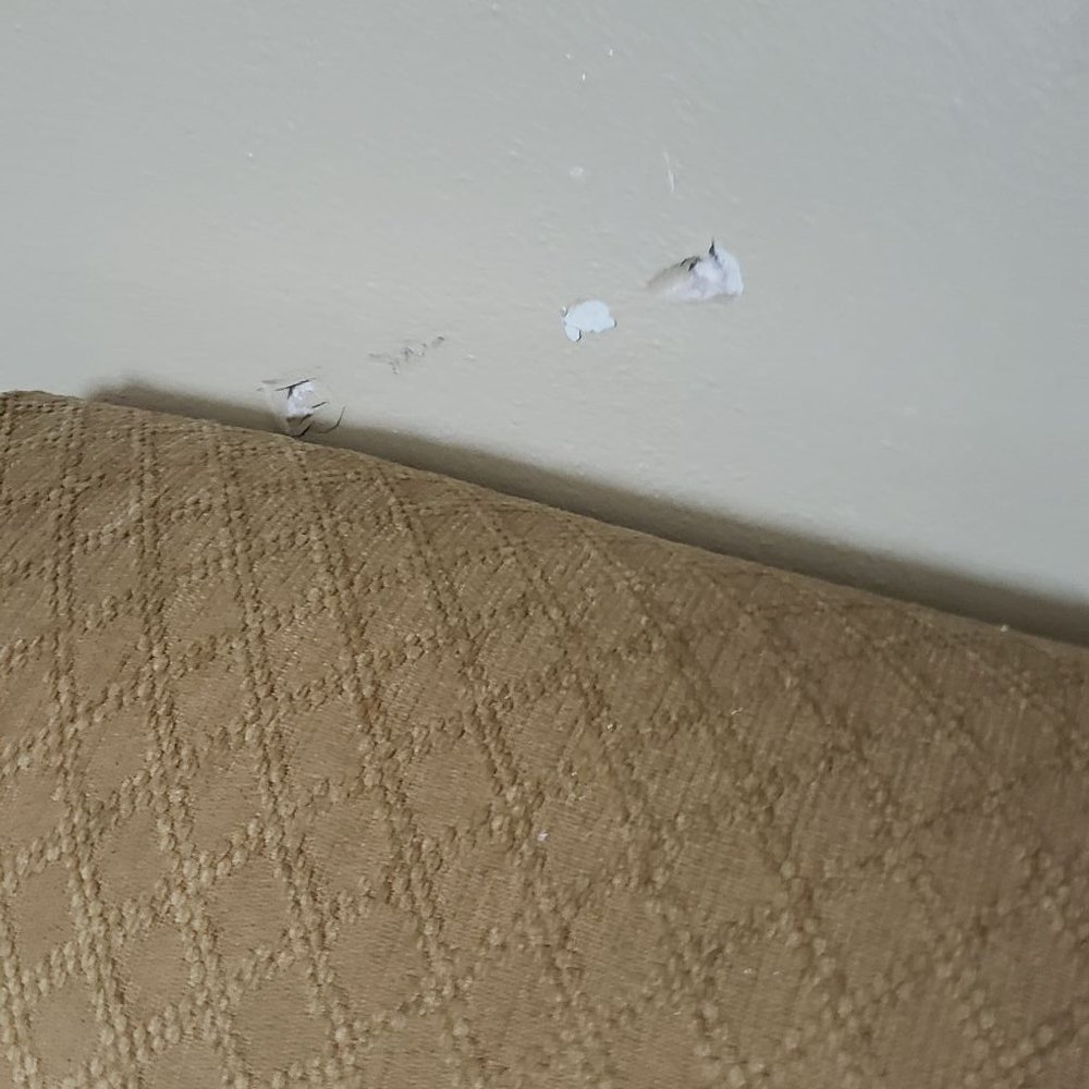 Holiday Hotel & Resort - The mark on the wall - Hotels Near Me - Holiday, Florida Holiday Hotel & Resort - The mark on the wall - Hotels Near Me - Holiday, Florida