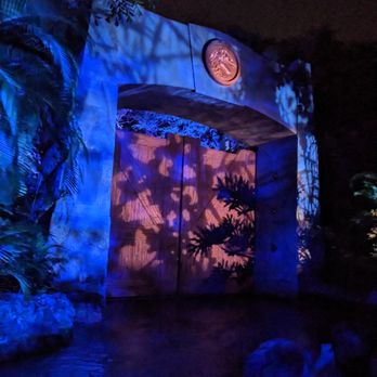 Jurassic World VelociCoaster - Jurassic Park River Adventure, Universal Studios - Amusement Parks Near Me - Orlando, Florida Jurassic World VelociCoaster - Jurassic Park River Adventure, Universal Studios - Amusement Parks Near Me - Orlando, Florida