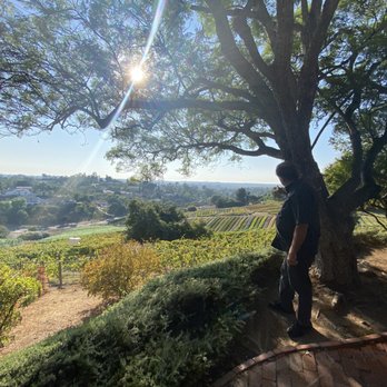 Brooking Vineyards - Wineries Near Me - Vista, California
