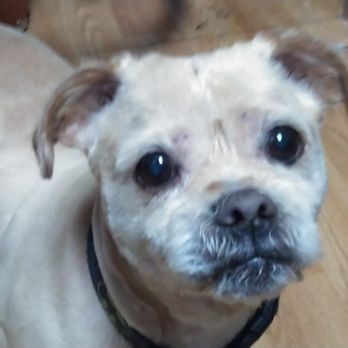 Pet Supplies Plus Wilmington - after - Pet Stores Near Me - Wilmington, Delaware Pet Supplies Plus Wilmington - after - Pet Stores Near Me - Wilmington, Delaware