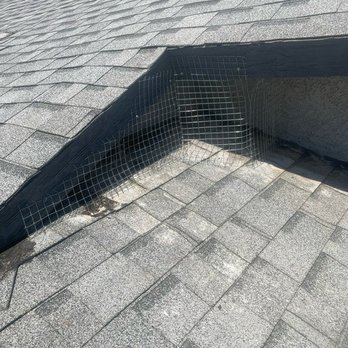 Pest Control Solutions - Pest Control Near Me - Henderson, Nevada Pest Control Solutions - Pest Control Near Me - Henderson, Nevada