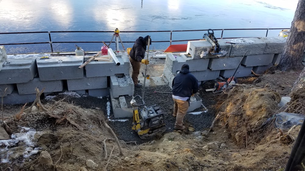 Slide of A Bee Septic