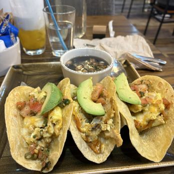 First Watch - Farm Stand Breakfast Tacos - Breakfast & Brunch Near Me - Webster, Texas