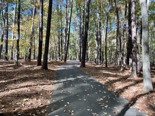 William B. Umstead State Park by null