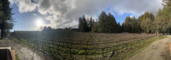 Windy Oaks Winery by null