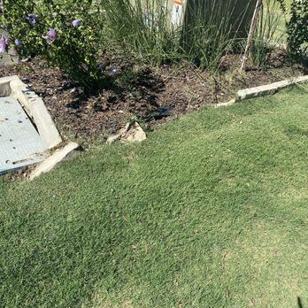 Vega Pool's & Spa Remodeling - Neighbors flowerbed they ruined. - Landscaping Near Me - Denton, Texas Vega Pool's & Spa Remodeling - Neighbors flowerbed they ruined. - Landscaping Near Me - Denton, Texas