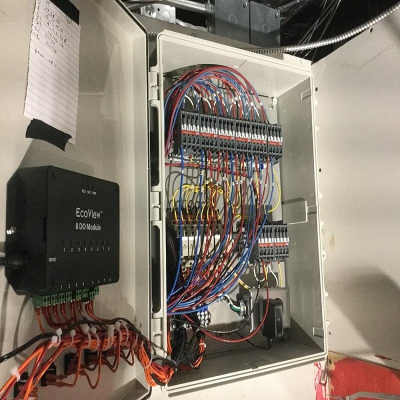 Slide of OC Wirezoid