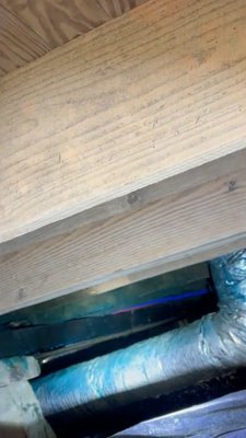 Powder Post Beetle Infestation - This family was dealing with an infestation of Powder Post Beetles. After inspecting to determine the pest we treated the issue with boric acid wood soak. Call today to ensure your home is structurally sound and treated to prevent infestations.