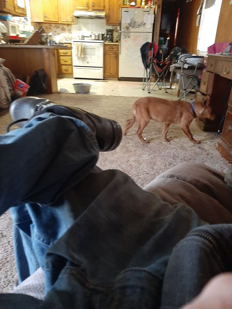 TUMBLEWEED EXPRESS DRIVE THRU Updated October 2024 258 S Rail Rd