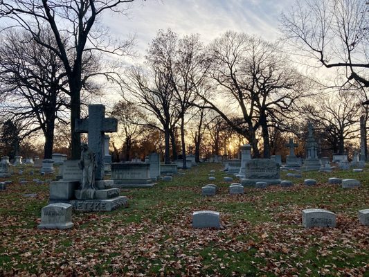 Forest Home Cemetery & Arboretum by null