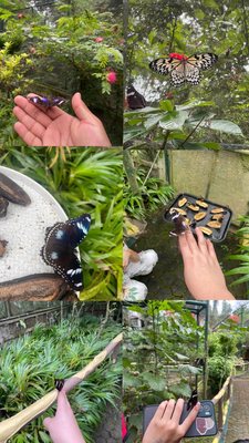 Davao Riverfront Crocodile Park & Zoo by null