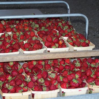 Harvey's Farm - Fresh Picked Strawberries! - Farmers Market Near Me - Tekonsha, Michigan Harvey's Farm - Fresh Picked Strawberries! - Farmers Market Near Me - Tekonsha, Michigan