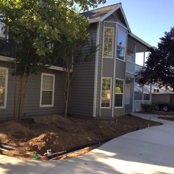 A Ladies Touch Painting - We bought neglected foreclosure that needed everything, look how Elise brought it back to life! - Painters Near Me - Elk Grove, California