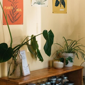 ELM Esthetics - Estheticians Near Me - Portland, Oregon ELM Esthetics - Estheticians Near Me - Portland, Oregon