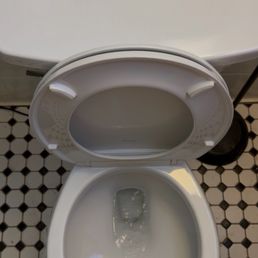 Newly installed flushing toilet Newly installed flushing toilet