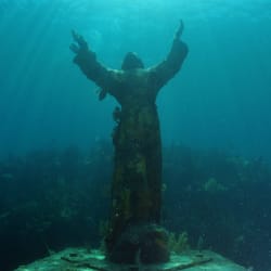 Ocean Divers - Key Largo Reef
