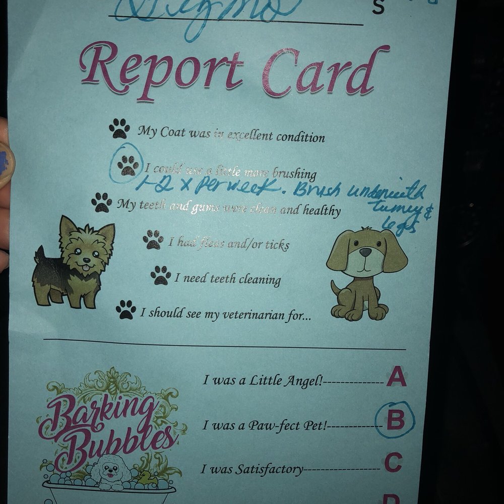 Barking Bubbles Spa - This place is the cutest, most welcoming grooming place I have ever been to! - Pet Groomers Near Me - Diamond Bar , California Barking Bubbles Spa - This place is the cutest, most welcoming grooming place I have ever been to! - Pet Groomers Near Me - Diamond Bar , California