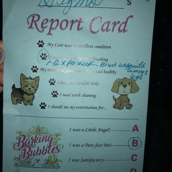 Barking Bubbles Spa - This place is the cutest, most welcoming grooming place I have ever been to! - Pet Groomers Near Me - Diamond Bar , California Barking Bubbles Spa - This place is the cutest, most welcoming grooming place I have ever been to! - Pet Groomers Near Me - Diamond Bar , California