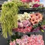 Wholesale Flowers and Supplies