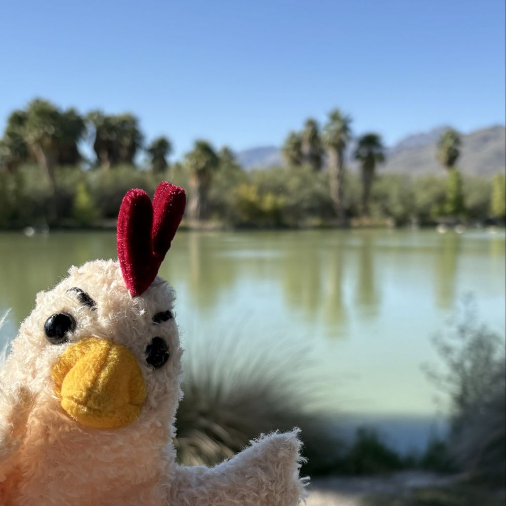 Agua Caliente Park Logo