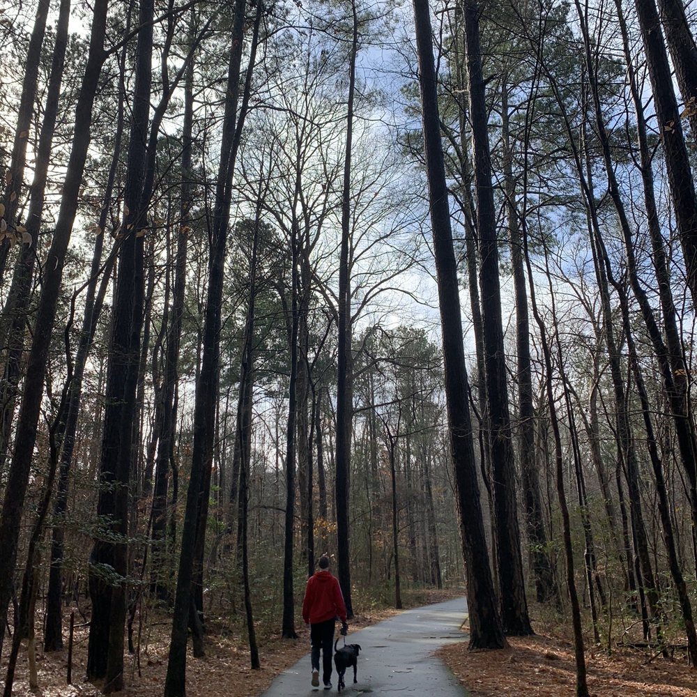 Swift Creek Greenway - Dog friendly. - Parks Near Me - Cary, North Carolina