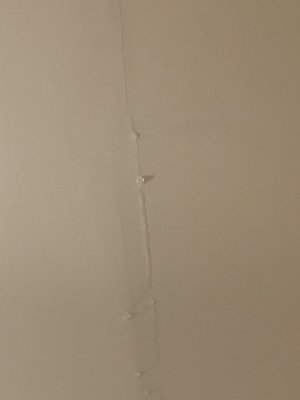 Tom Roney Roofing Logo