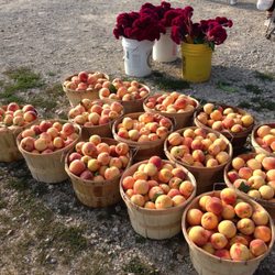 White's Farm & Flea Market