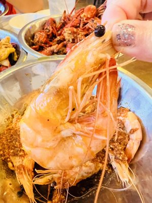 Cajun Kitchen by null