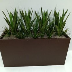 Anysize Art And Plants