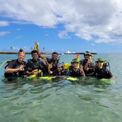 Scuba Dogs
