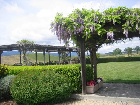 William Hill Estate Winery by null