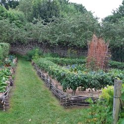 Jardin Médieval