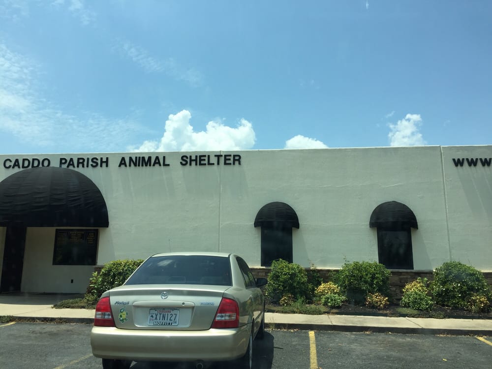 CADDO PARISH ANIMAL CONTROL 1500 Monty St, Shreveport, Louisiana