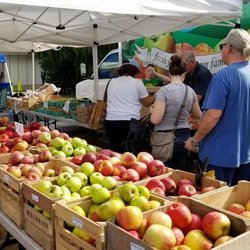 Swarthmore Farmers Market - Over 20 varieties of apples!