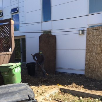 Cisnero's Tree Care - Careful to protect neighbors home putting up Barrier and manual removal as needed of bamboo routes. - Tree Services Near Me Cisnero's Tree Care - Careful to protect neighbors home putting up Barrier and manual removal as needed of bamboo routes. - Tree Services Near Me