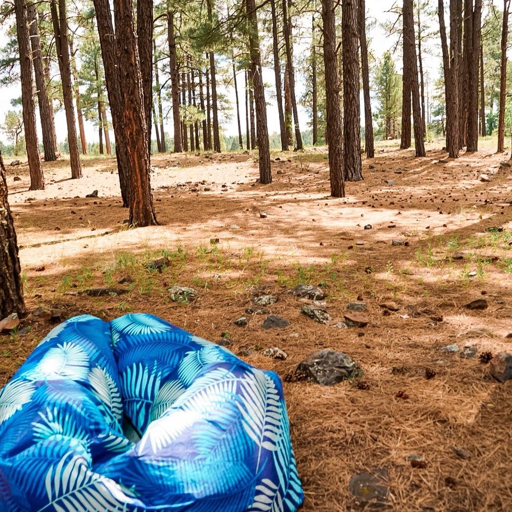 White Horse Lake Campground - So many trees! - Campgrounds Near Me