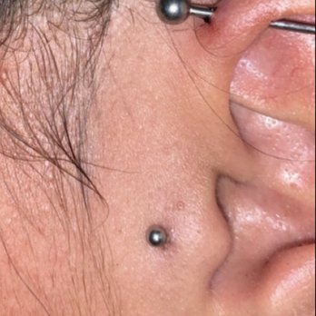 Ikova Tattoo - Might as well have gotten a surface tragus. - Tattoo Near Me - Hollywood, Florida Ikova Tattoo - Might as well have gotten a surface tragus. - Tattoo Near Me - Hollywood, Florida