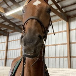 Cross Creek Stables - Maybe