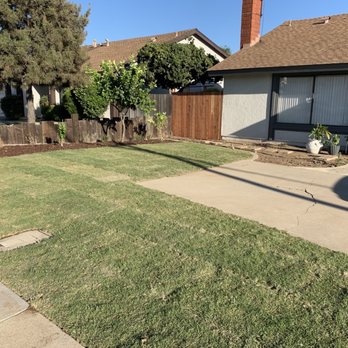 Green Leaf Landscaping - Sprinklers and new lawn/sod - Tree Services Near Me Green Leaf Landscaping - Sprinklers and new lawn/sod - Tree Services Near Me