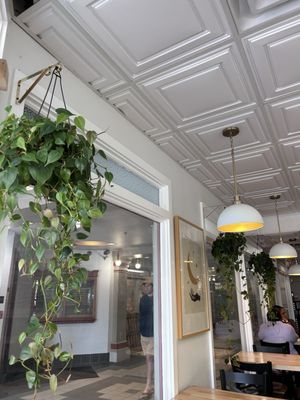 Nura Hummus, Falafel, and Shawarma by null