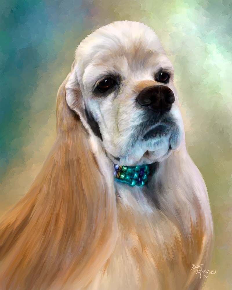 DOG GROOMING BY JAN Updated September 2024 6265 Chukar Road, Vernon