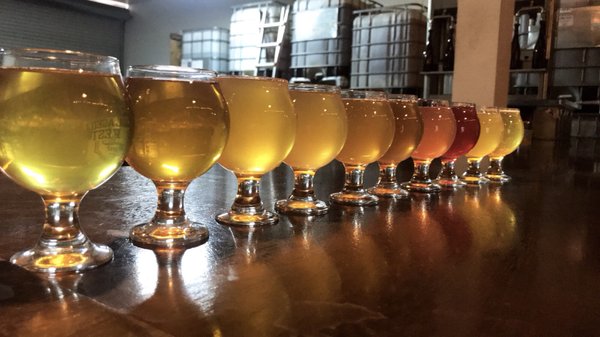 California Wild Ales by null