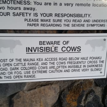 Mauna Kea State Recreation Area - Invisible cows - Parks Near Me - Pohakuloa, Hawaii