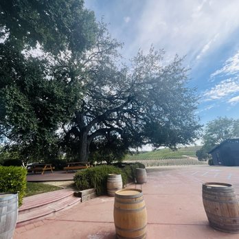 The Fableist Wine - View of oak trees and vineyards - Wineries Near Me - Templeton, California