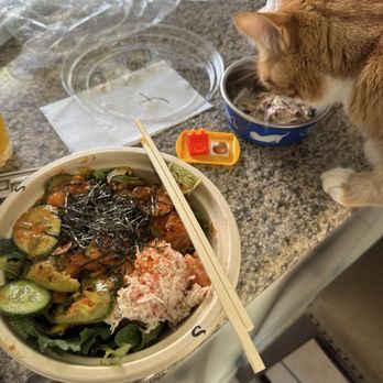 Poké House - Alameda - poke bowl - Seafood Near Me - Alameda, California
