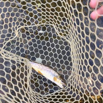 Front Range Anglers - Outdoor Gear Near Me - Boulder, Colorado