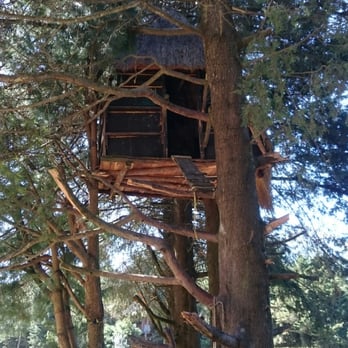 Laberinto del Ajusco - Casita del árbol - Local Flavor Near Me - México, D.F., DIF