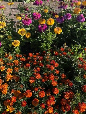 Well Rooted Farms by null