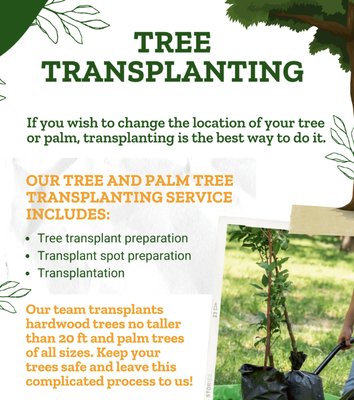 Photo of Defensible Designs - Orinda, CA, US. We work with local pros to transplant or replace your trees.