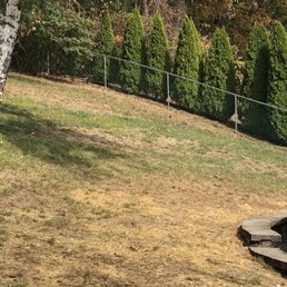 this is my lawn after Central lawn service treated it this is my lawn after Central lawn service treated it